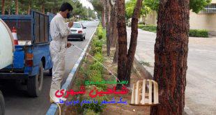 عملیات اجرایی اصلاح بستر بلوارهای سطح شهر شاهین شهر