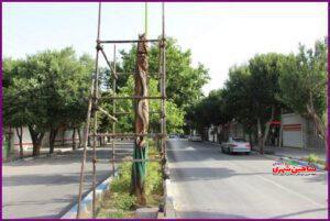 پیکیرتراشی درختان خشکیده خیابان فردوسی شاهین شهر اصفهان