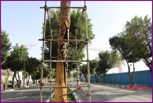 پیکیرتراشی درختان خشکیده خیابان فردوسی شاهین شهر اصفهان
