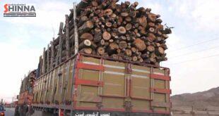 محوله چوب | قاچاق چوب