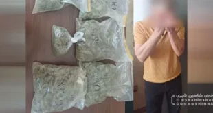 مواد فروش حرفه ای با 4 کیلوگرم گل در مورچه خورت شاهین شهر به دام پلیس افتاد