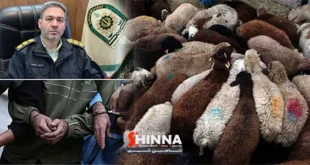 فرمانده انتظامی شهرستان شاهین‌شهر و میمه از شناسایی و دستگیری دو سارق احشام و یک مالخر در پی سرقت شبانه چند رأس گوسفند از یکی از دامداری‌های لایبید در حومه بخش میمه شهرستان شاهین شهر خبر داد.