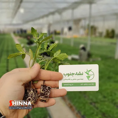 بزرگترین شهرک گلخانه ای تولید نشاء کشور با عنوان جنوب در شهرستان دهاقان استان اصفهان به بهره برداری رسید