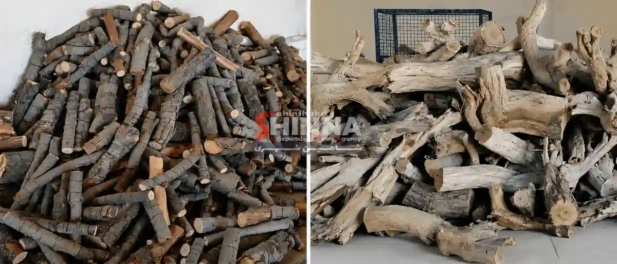 کشف بیش از ۴ تن چوب جنگلی قاچاق در شاهینشهر؛ کارگاه تولید زغال پلمب و یک متهم دستگیر شد
