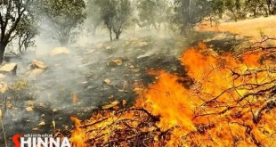 تشدید مجازات عاملان آتش سوزی های عمدی در اصفهان _ مجازات کیفری و جبران خسارت در انتظار عاملان آتش‌سوزی‌های عمدی عرصه‌های طبیعی اصفهان