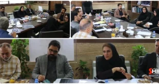 حمایت از زنان سرپرست خانوار با بهره گیری از ظرفیت های مدیریت شهری در شاهین شهر