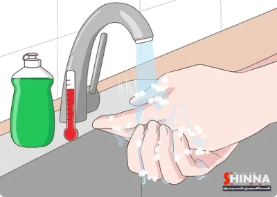 چگونه رنگ پوست گردوی تازه را از دست پاک کنیم؟ +روش‌های موثر و خانگی